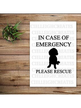 *2 for $20* In Case of Emergency Please Rescue Doodle vinyl decal Handcrafted